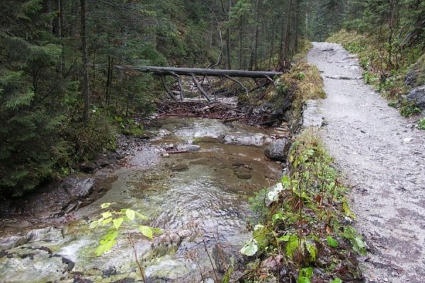 /images/card/atrakcje-stara/dolina-bialego.jpg - Willa Bachledówka - Noclegi Zakopane