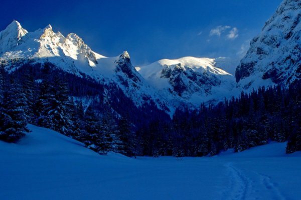 /images/card/atrakcje-stara/dolina-malej-laki.jpg - Willa Bachledówka - Noclegi Zakopane