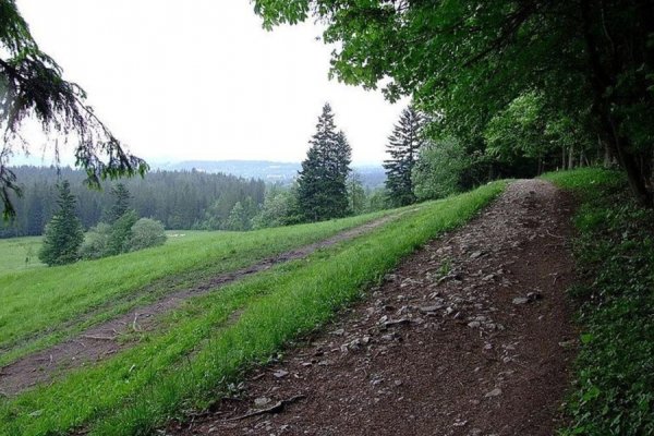 /images/card/atrakcje-stara/sciezka-pod-reglami.jpg - Willa Bachledówka - Noclegi Zakopane